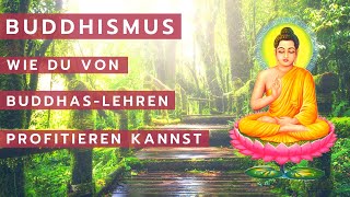 Was ist Buddhismus Einfach erklärt  Die vier edlen Wahrheiten [upl. by Gonzalo]