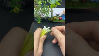 Super idea for your garden Just take a cotton bud and amazing with result diy ideas plants [upl. by Irv]