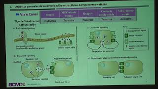 BCM TEORICO 17 COMUNICACIÓN ENTRE CELULAR PRIMERA PARTE [upl. by Bender]