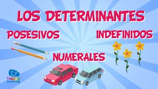 Los determinantes posesivos numerales e indefinidos  Vídeo Educativo para Niños [upl. by Marja]