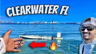 Is Clearwater Florida fishing always this EASY [upl. by Atteval635]