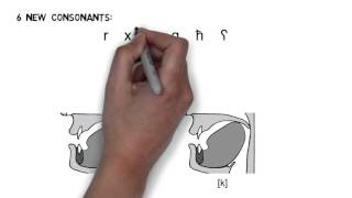 Arabic Video 2 DRAFT Consonants [upl. by Hanway]