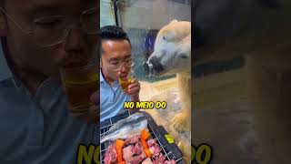 Vamos Ajudar Esse Urso Polar interessante incrivel curioso animais natureza [upl. by Namdor]