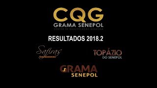 Reunião Final CQG 20182 Resultados Safiras e Topázio Senepol [upl. by Neleb]