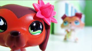 Littlest Pet Shop Popular Episode 11 Revenge Isnt Always Sweet [upl. by Tymon]