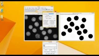 ImageJ Tutorial Microsphere size measurement [upl. by Lahcar]