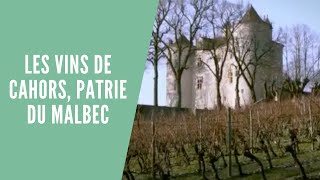 REPORTAGE Les vins de Cahors patrie du Malbec dans le SudOuest de la France [upl. by Sane]