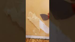 quotEasyquot way to remove wallpaper with Dawn Powerwash [upl. by Braunstein356]