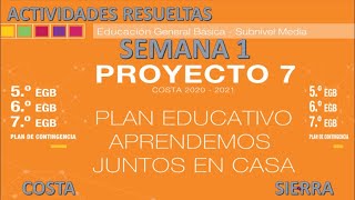 PROYECTO 7  SEMANA 1  BASICA MEDIA  5TO  6TO  7MO  ACTIVIDADES RERUELTAS INCLUYE INGLÉS [upl. by Kciredor750]