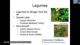 Managing Land amp Livestock on Small Acreages Irrigated Pasture Species Selection [upl. by Lupee622]