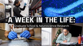 A Week in the Life Tufts Grad Student  Researcher [upl. by Bashee]