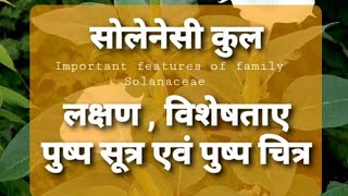 Family solanaceae detailed Notes in hindi [upl. by Esya]