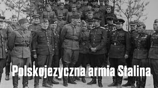 Polskojęzyczna armia Stalina  Przystanek Historia odc 49 [upl. by Ansaev]