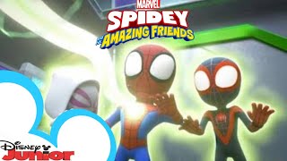 Spin Rushes and His Amazing Friends  Game spider man and his amazing friendship spideygame [upl. by Harness837]