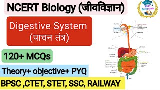 Digestive System  पाचन तंत्र l NCERT Based 120  MCQs l PYQ l NCERT Biology l Study Curriculum [upl. by Nobile]