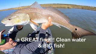 New Experience Texas Saltwater Near I10 redfish flounder [upl. by Perpetua]