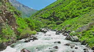 mountain river with large rocks at sunny summer day [upl. by Archle]