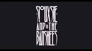 Siouxsie And The Banshees  Live in Paris 1979 Full Concert [upl. by Ryon]