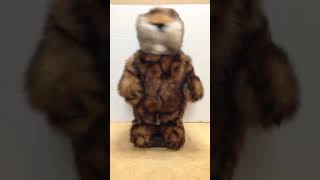 Vintage Caddyshack gopher dancing with the song [upl. by Ahsimit196]