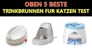 Beste Trinkbrunnen fur Katzen Test 2021 [upl. by Rogers41]