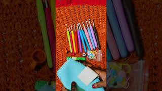 Crochet Hooks  HASTHIP Crochet Hooks With Case  amazon  review  amazon  review [upl. by Etnuhs]