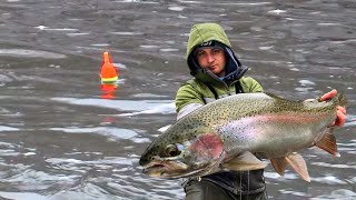 WINTER Steelhead Fishing  UNREAL BOBBER DOWNS [upl. by Emorej]