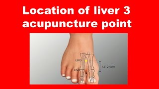 Location of liver 3 acupuncture point SHORTS [upl. by Kcirddahc791]