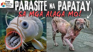 PARASITIKO SA DILA NG ISDA Galising Aso ano ang dahilan [upl. by Yarled]