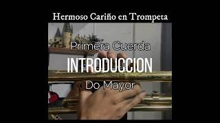 Hermoso Cariño Introducción 🎺 [upl. by Tiff]