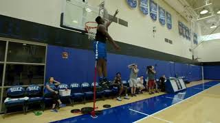 Vertical jump Zion Williamson [upl. by Haret854]