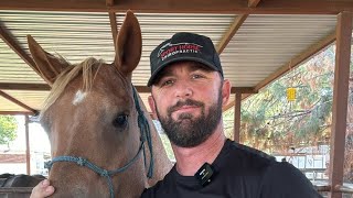 Sport Horse Chiropractic Dr Mike Adney is live [upl. by Holden]