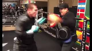 canelo alvarez training videomega ru [upl. by Anaujit]