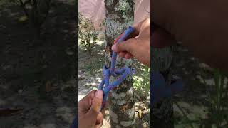 Incredible Bowline  the KING of knots for ever knot knotskill bowline [upl. by Brandon]