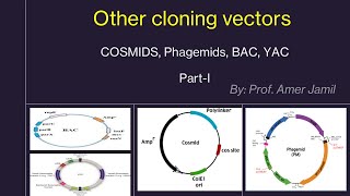 Cloning vectors other than lambda phage and plasmids [upl. by Clayberg]