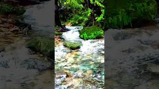 Salalah OmanKhareef season  Beautiful nature  Nish amp Nish Vlogs  shorts [upl. by Wilcox]