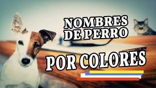 NOMBRES DE PERRO POR COLORES [upl. by Hardden421]