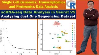 scRNAseq Data Analysis in Seurat V5 Analysing Just One Sequencing Dataset [upl. by Palila]