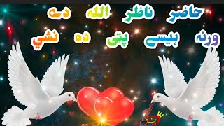 حاضر ناظر اللہ دے ورنہ ہیسے پټی ده نشي Pashto naat پشتو نعت 🕋♥️🫴🌹🫵 [upl. by Didi]