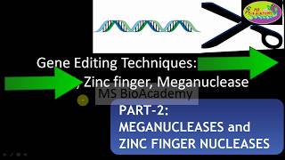 PART2 Meganuclease and Zinc Finger Nuclease GENE EDITING TECHNIQUE [upl. by Pinebrook]