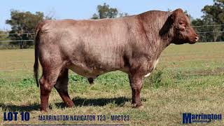 LOT 10  MARRINGTON NAVIGATOR T23 MPCT23 [upl. by Chaves739]