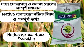 Nativo কখন কিভাবে কোন কোন রোগের জন্য ব্যবহার করবেনধানের খোলাপচা ঝলসা সমস্যা সমাধানBayer Nativo [upl. by Lupita]