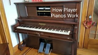 How Does A Player Piano Work  A Basic Explanation [upl. by Aehsal776]