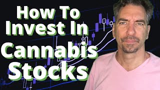 Understanding How To Invest In Cannabis Stocks  All you need to know about cannabis stocks [upl. by Robenia]