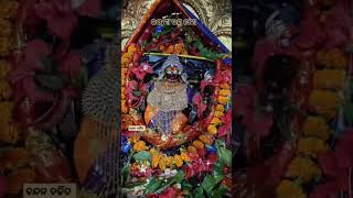 🌺🌺 ଜୟ ଜୟ ମା ଉଗ୍ର ତାରା 🌺🌺ugratara tara tarapith [upl. by Dupaix]