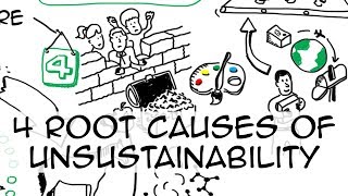 4 root causes of unsustainability [upl. by Lorn]