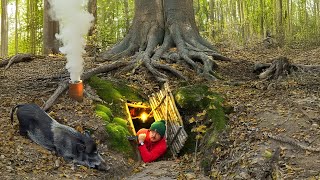 Building a Secret Shelter Deep Inside Big Tree A Warm and Cozy Bushcraft Dugout [upl. by Skier]