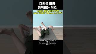 자신의 척추 각마디가 어떻게 움직이는지 모르신다면 관찰 신경가소성 척추움직임 [upl. by Etna]