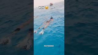 Dont be surprised 😯 DOLPHIN TOUR 🌊🐬 africanbeach youtubeshorts moreviews [upl. by Macdermot825]