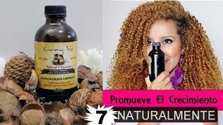 ESTIMULA el Crecimiento del Cabello Rizado con el Aceite de RICINO Negro JAMAICANO  7 CRECIMIENTO [upl. by Aleakcim]