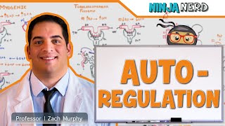 Renal  Autoregulation Updated [upl. by Alard]